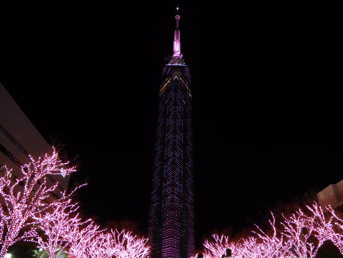 投稿写真：160福岡タワー（福岡）
