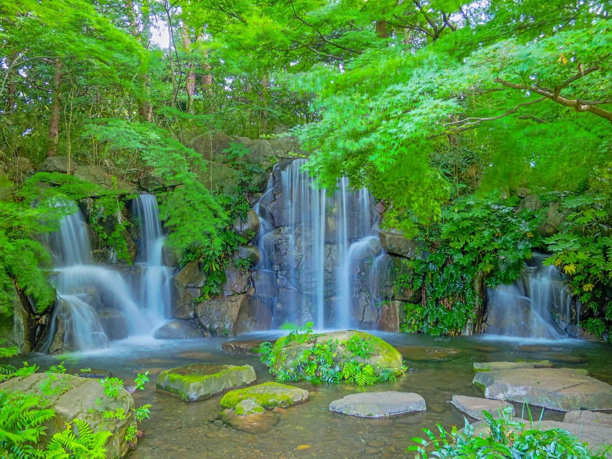 投稿写真：青モミジと滝