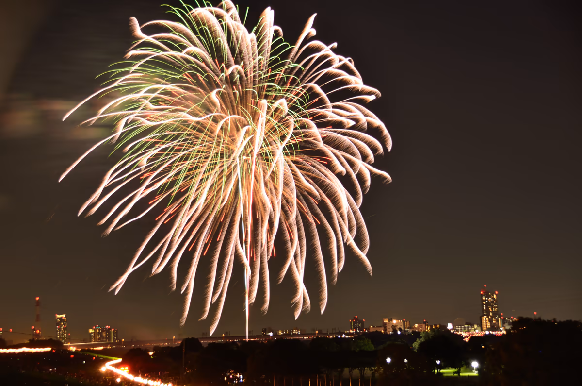 投稿写真：夜空に輝く大輪の花