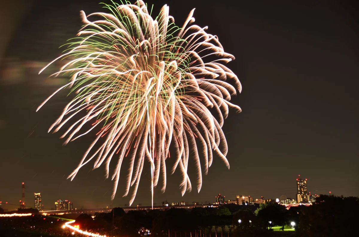 投稿写真：夜空に輝く大輪の花