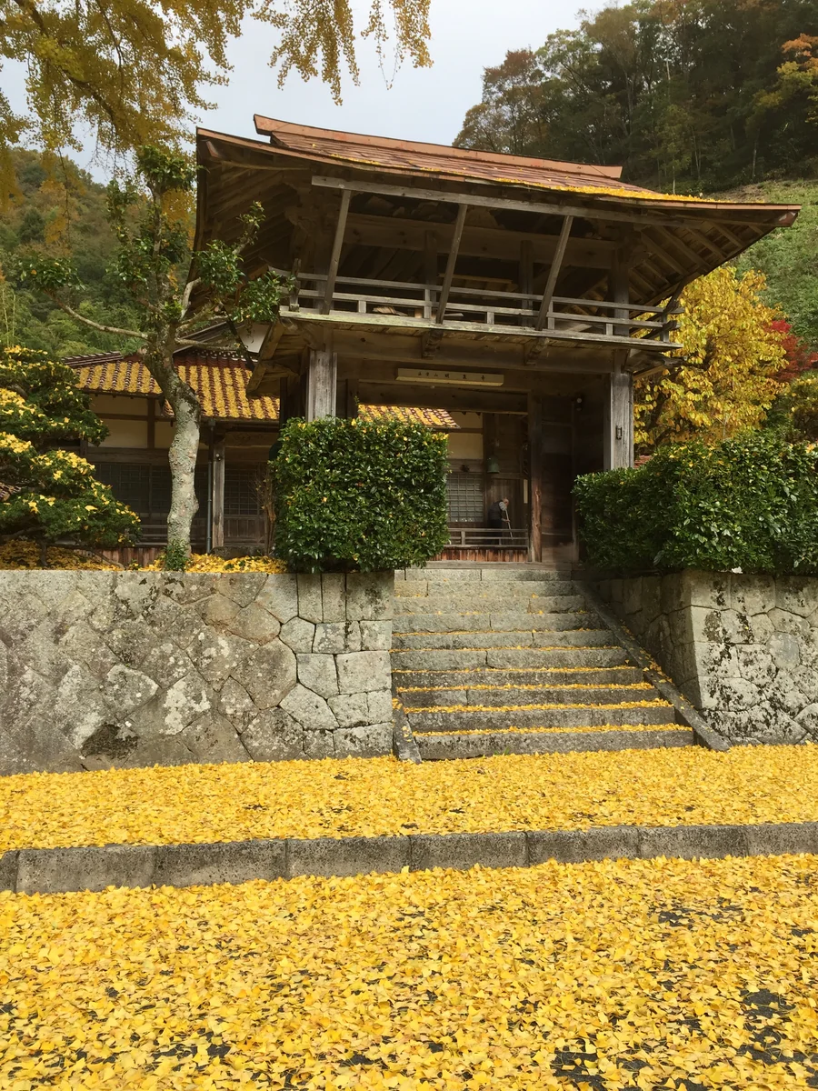 投稿写真：明泉寺