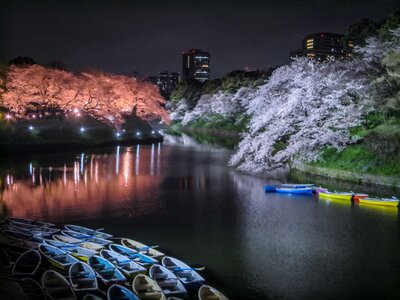  | 絶景事典
