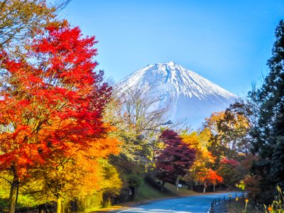  | 絶景事典