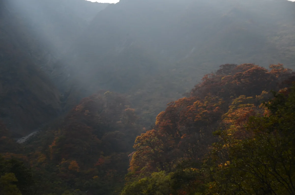 投稿写真：大山　秋の絶壁