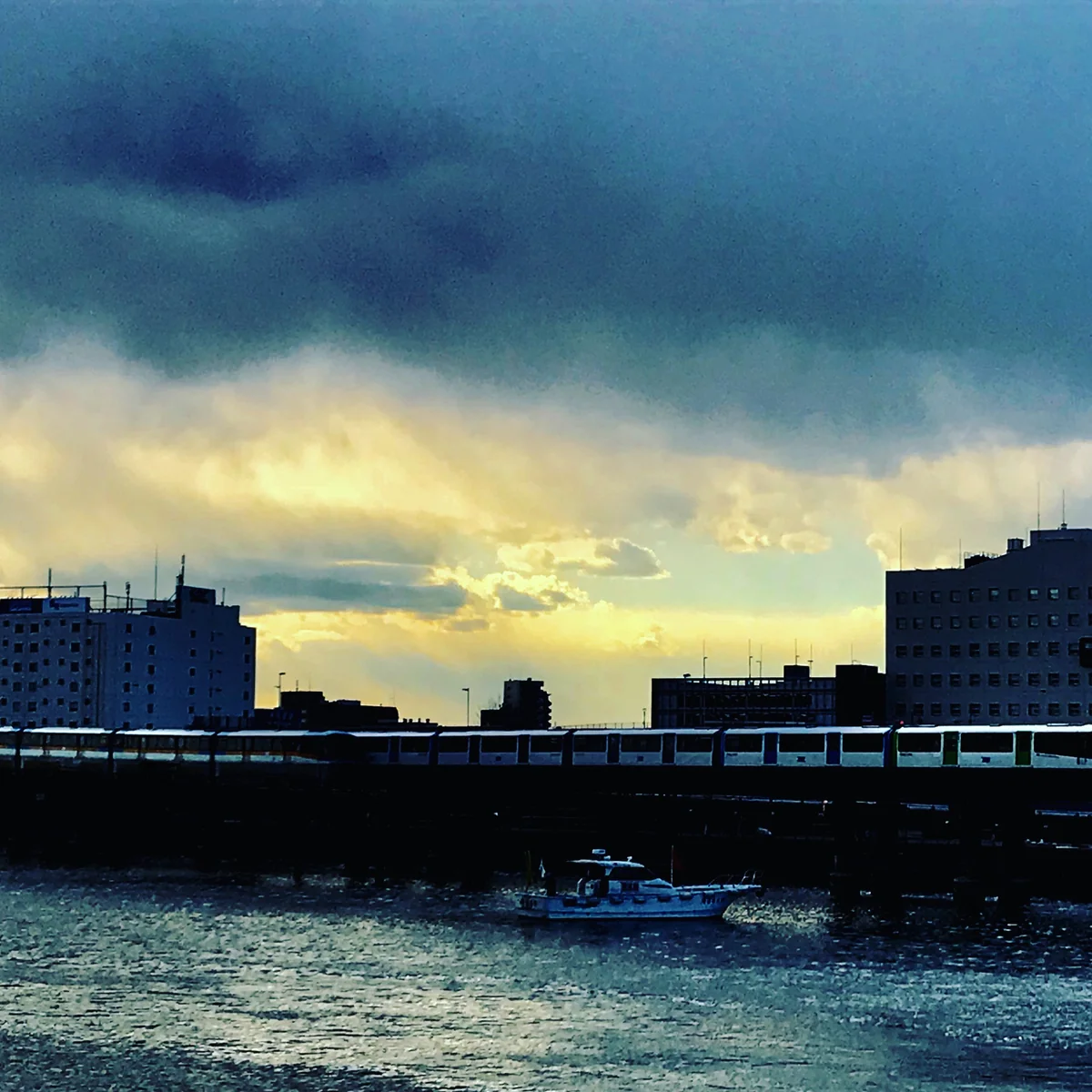 投稿写真：オアシス🎵