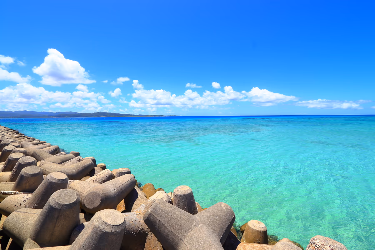投稿写真：テトラポットと海