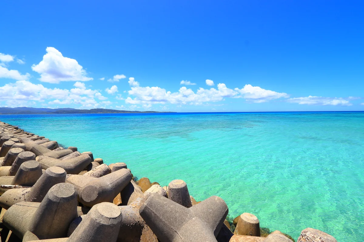 投稿写真：テトラポットと海