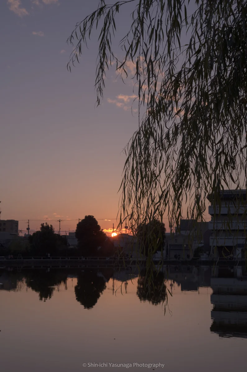 投稿写真：奈良市・猿沢池と夕日