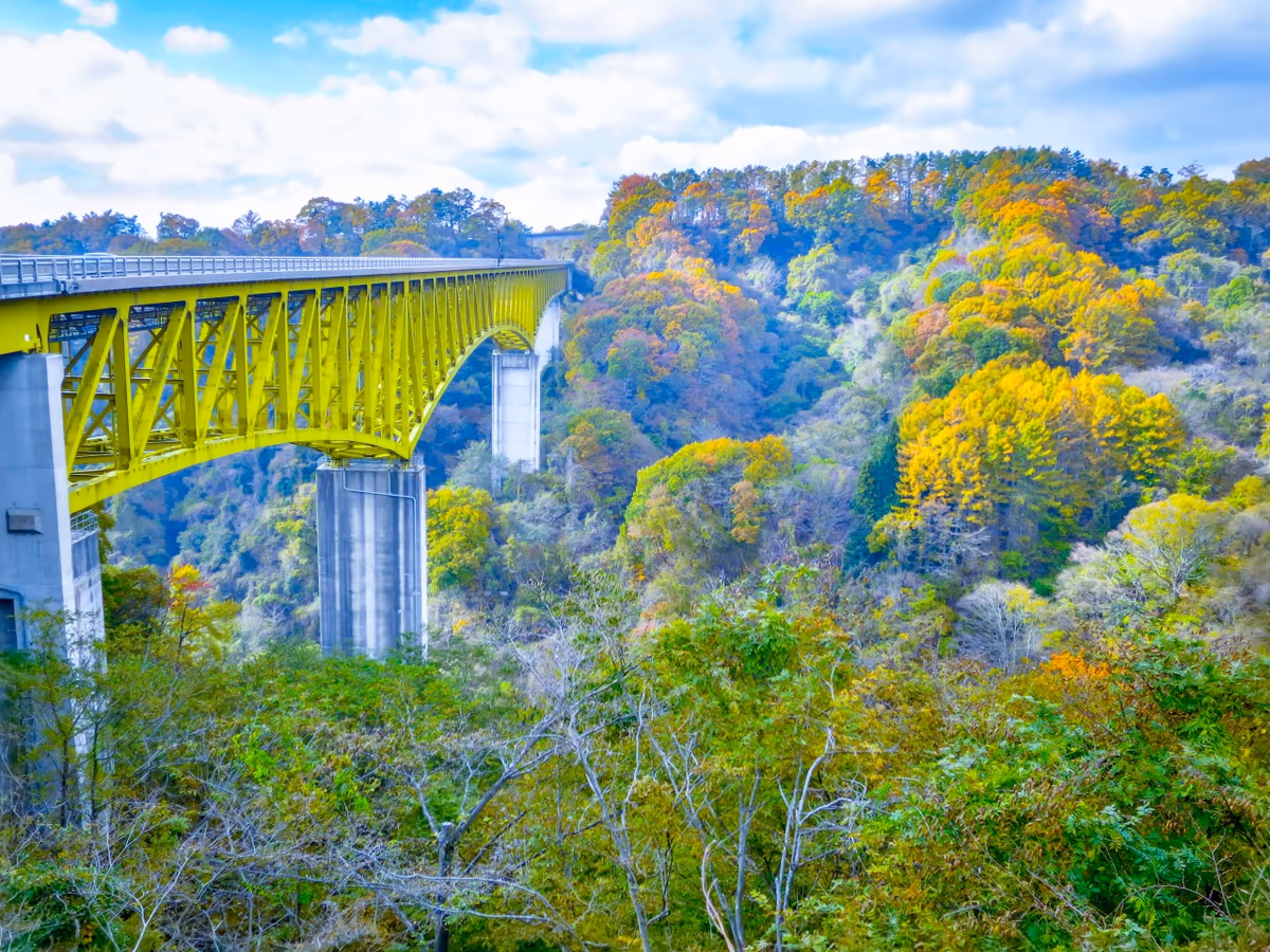 投稿写真：八ヶ岳高原大橋と紅葉