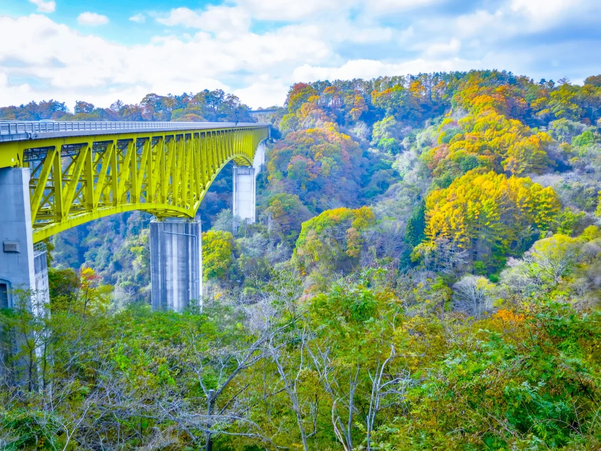 投稿写真：八ヶ岳高原大橋と紅葉