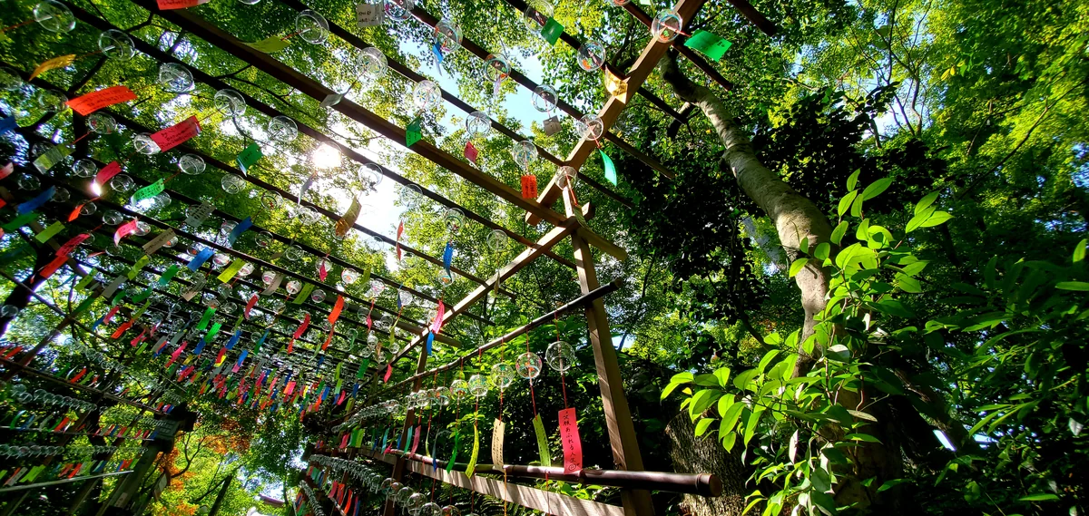 投稿写真：かえる寺の風鈴