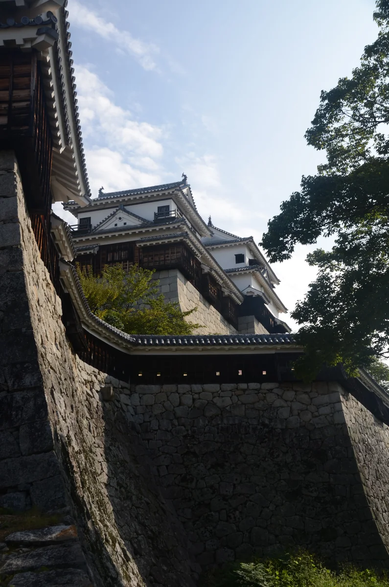 投稿写真：松山城