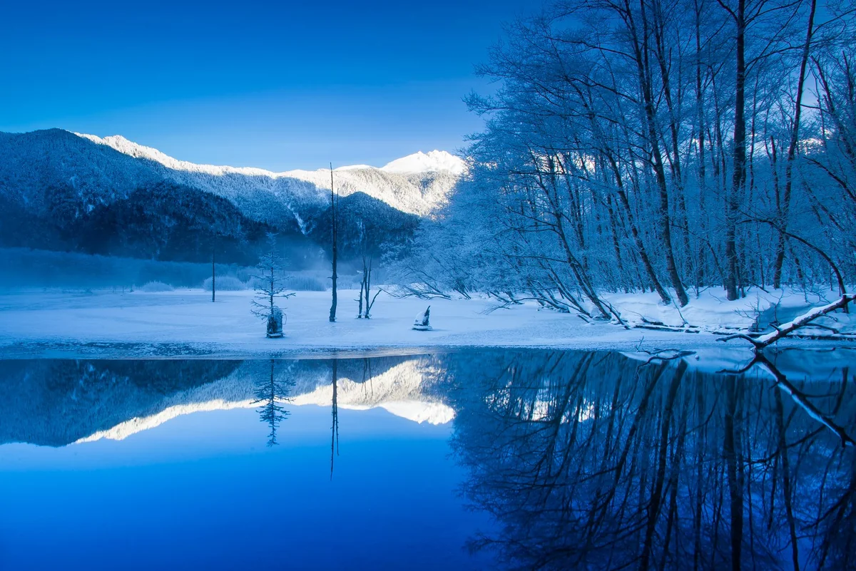 投稿写真：真冬の上高地大正池