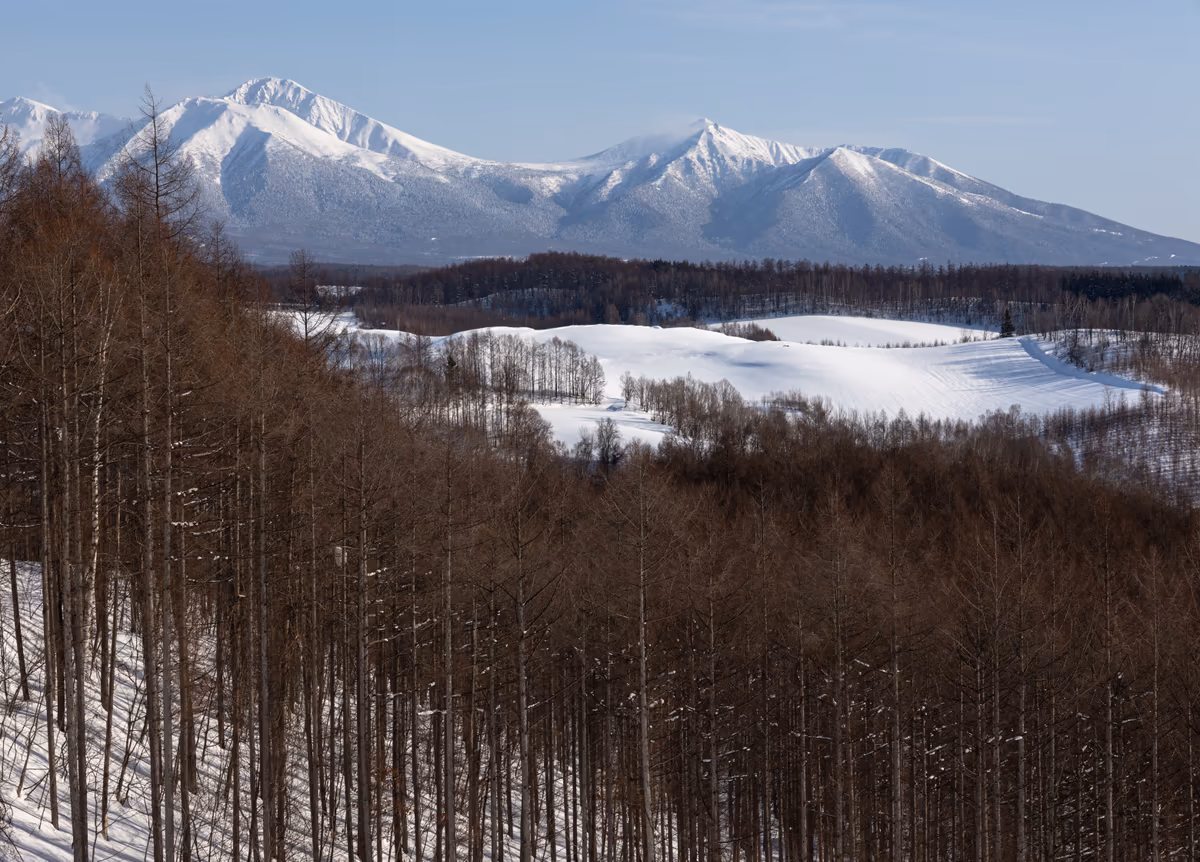 投稿写真：Biei