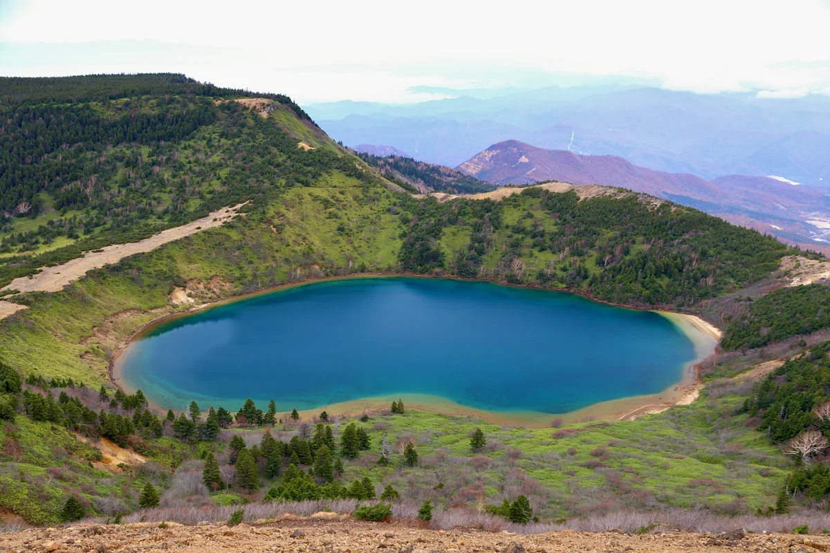 投稿写真：魔女の瞳