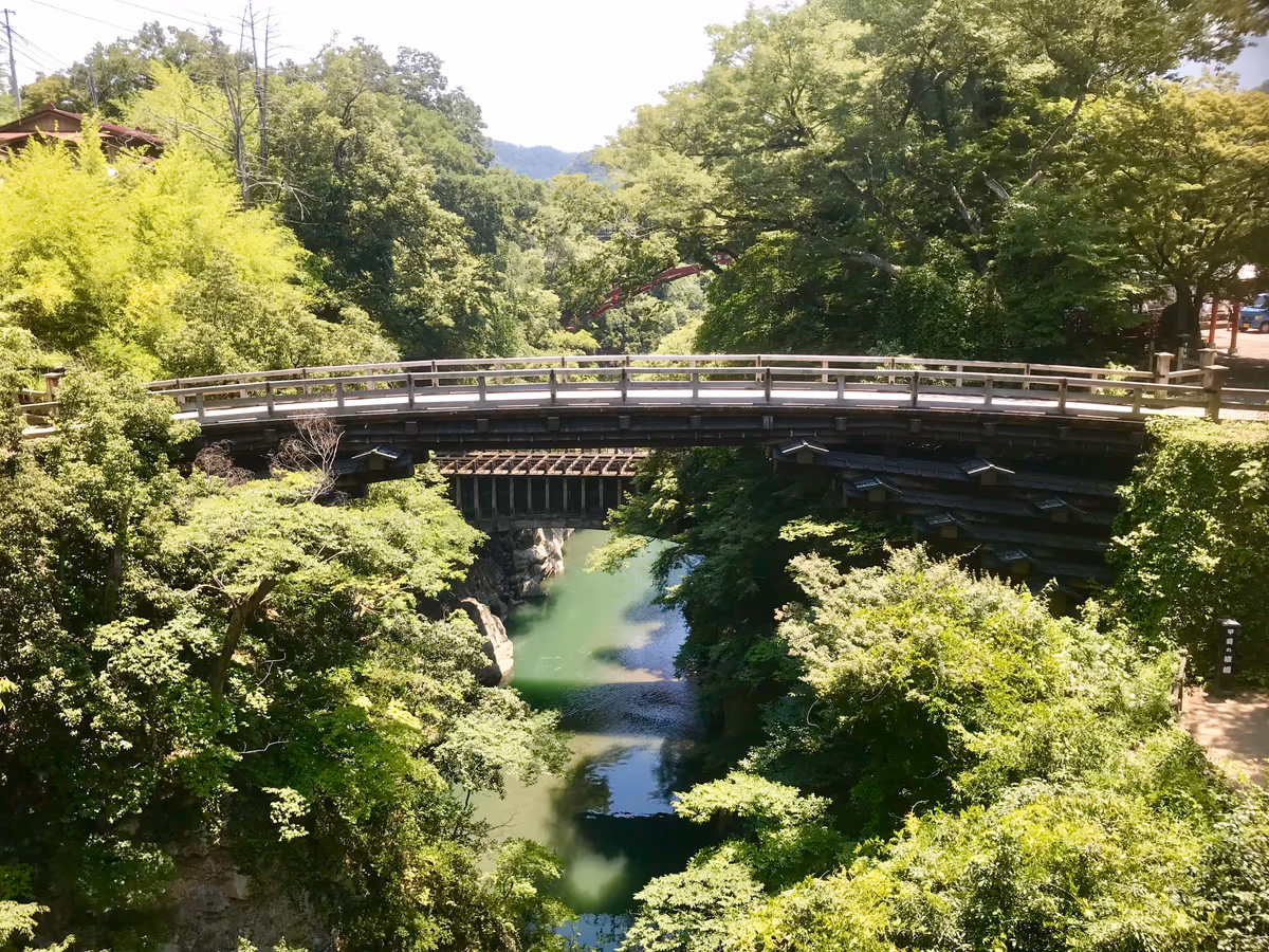 投稿写真：猿橋