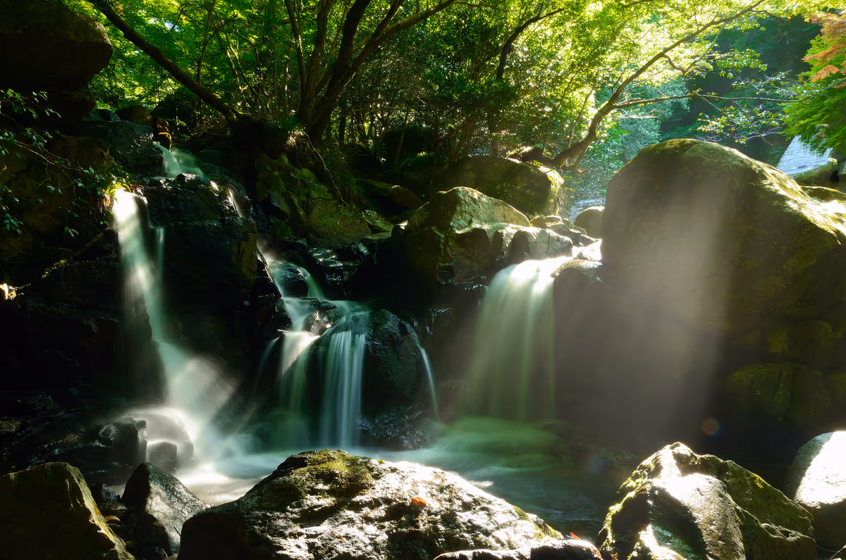 投稿写真：尼ん滝