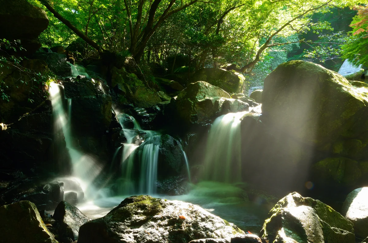 投稿写真：尼ん滝