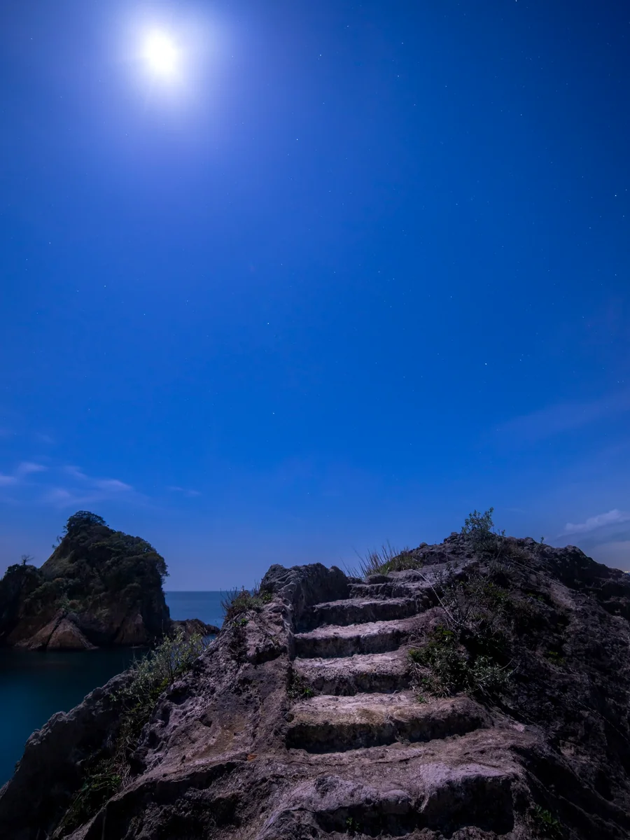 投稿写真：天へと続く...