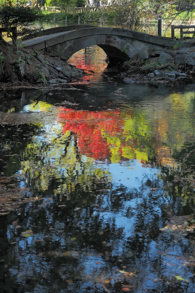 投稿写真：愁映