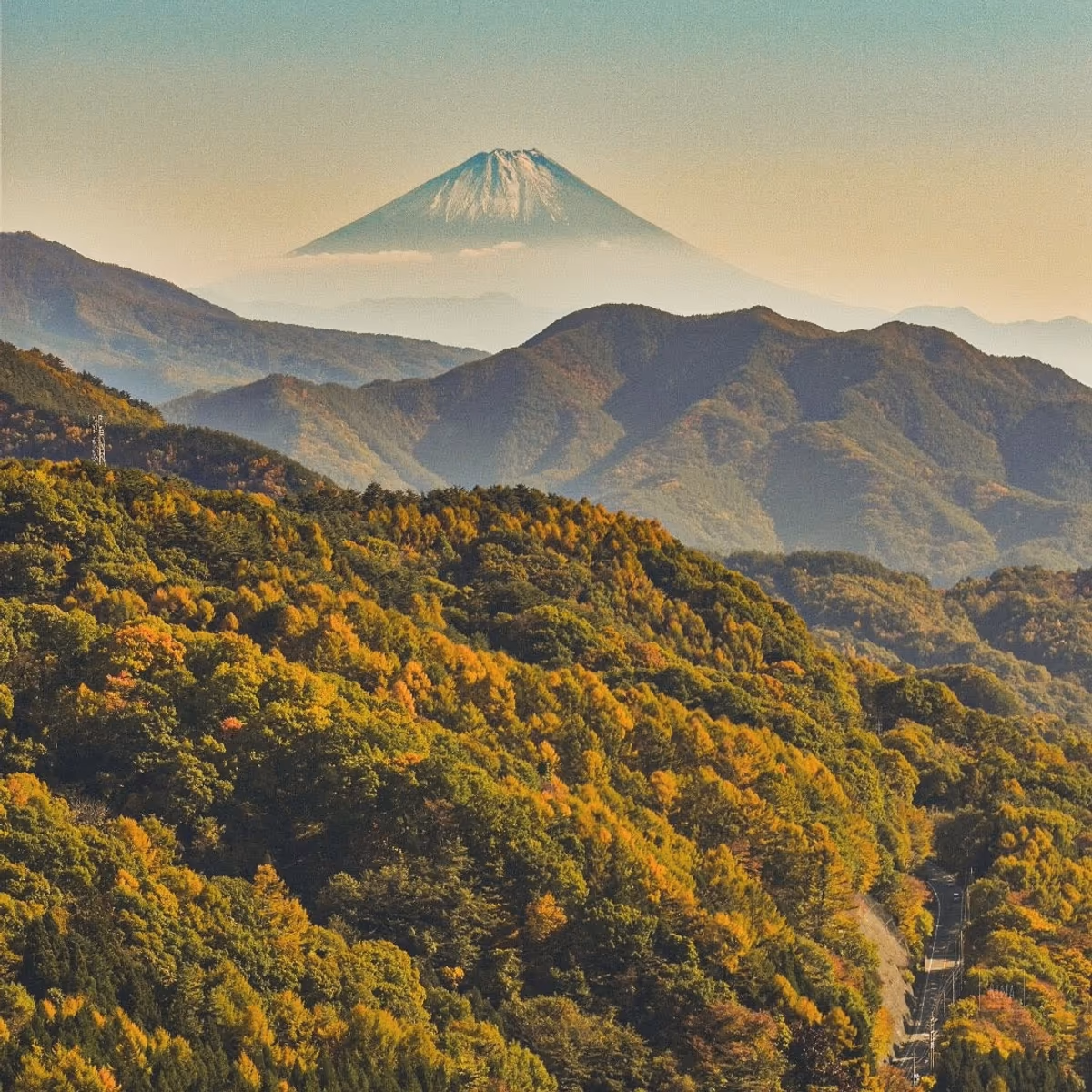 投稿写真：富士山