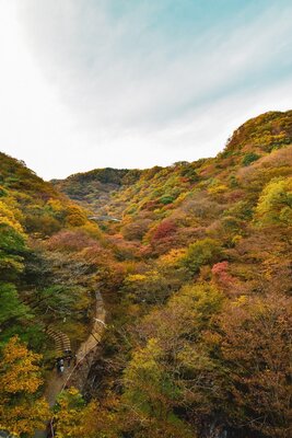  | 絶景事典