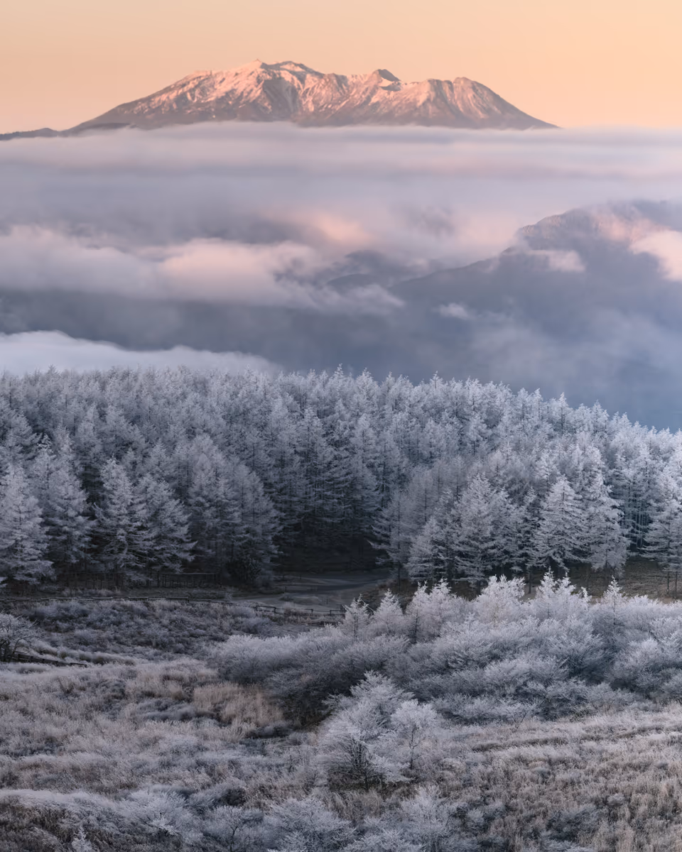 投稿写真：霧氷と御嶽山