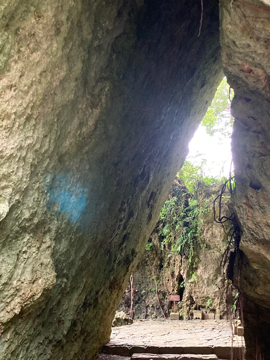 投稿写真：斎場御嶽