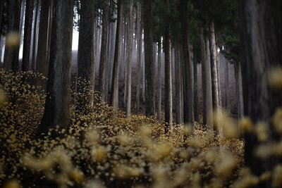  | 絶景事典