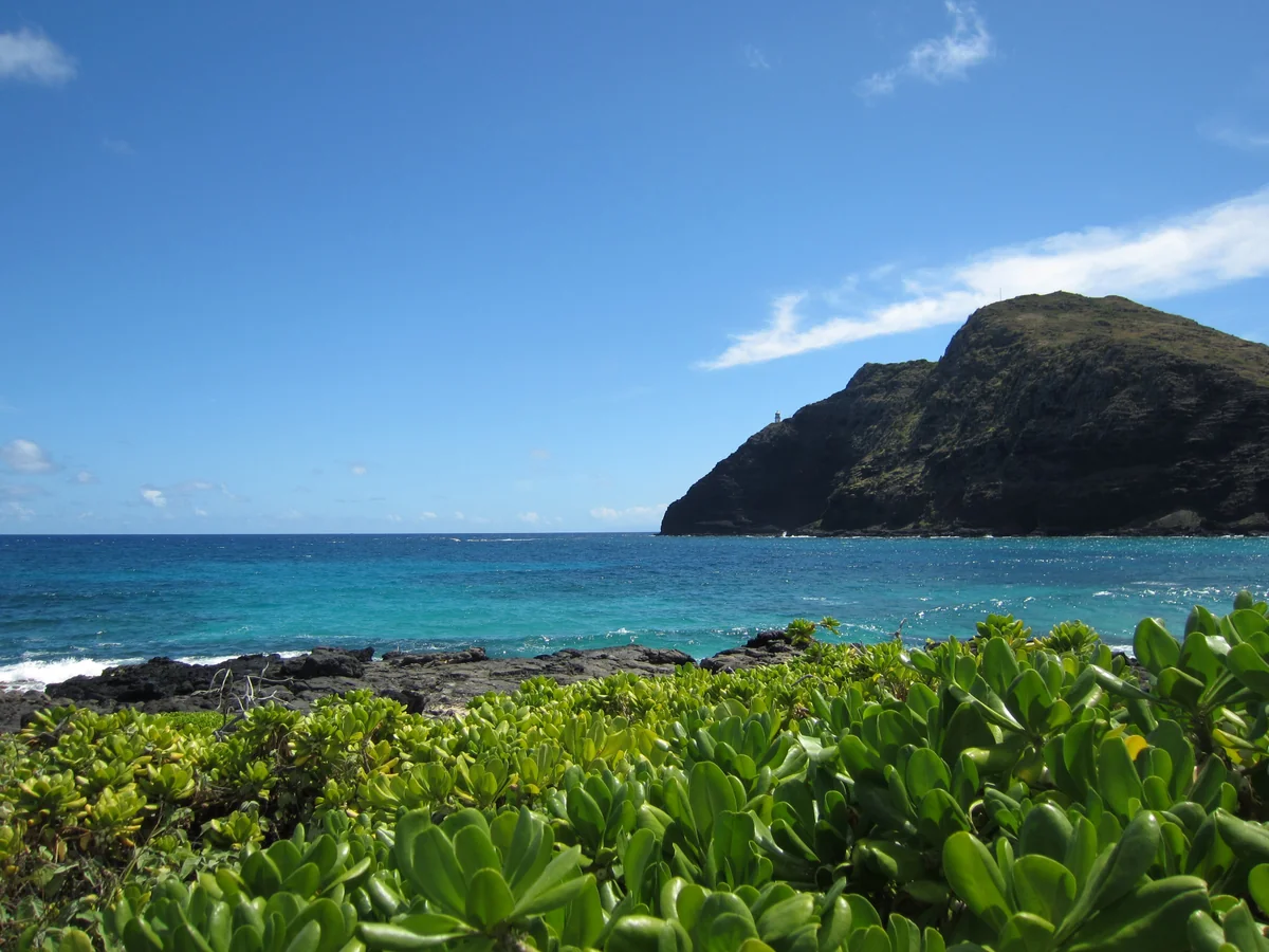 投稿写真：ハワイ・ラビットアイランド