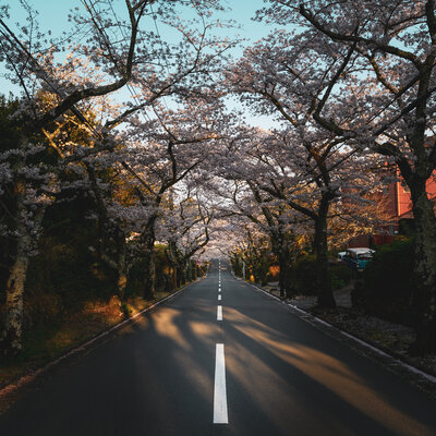  | 絶景事典