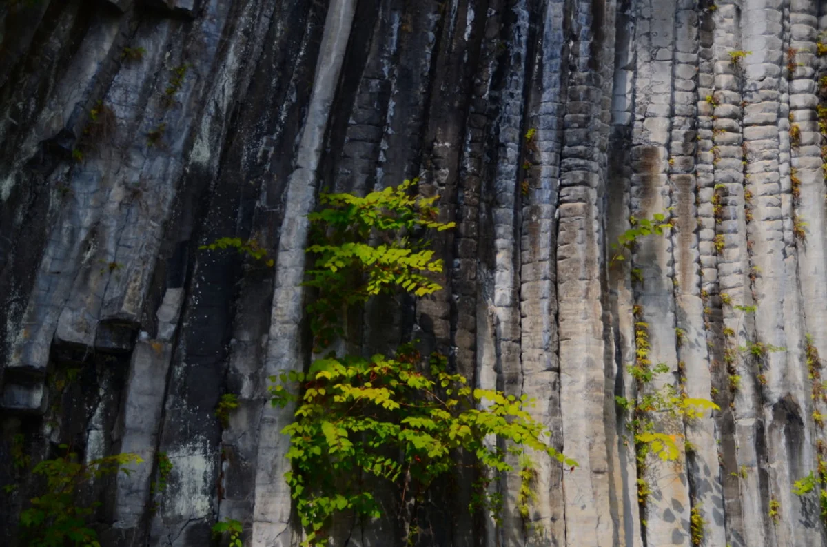 投稿写真：柱状節理