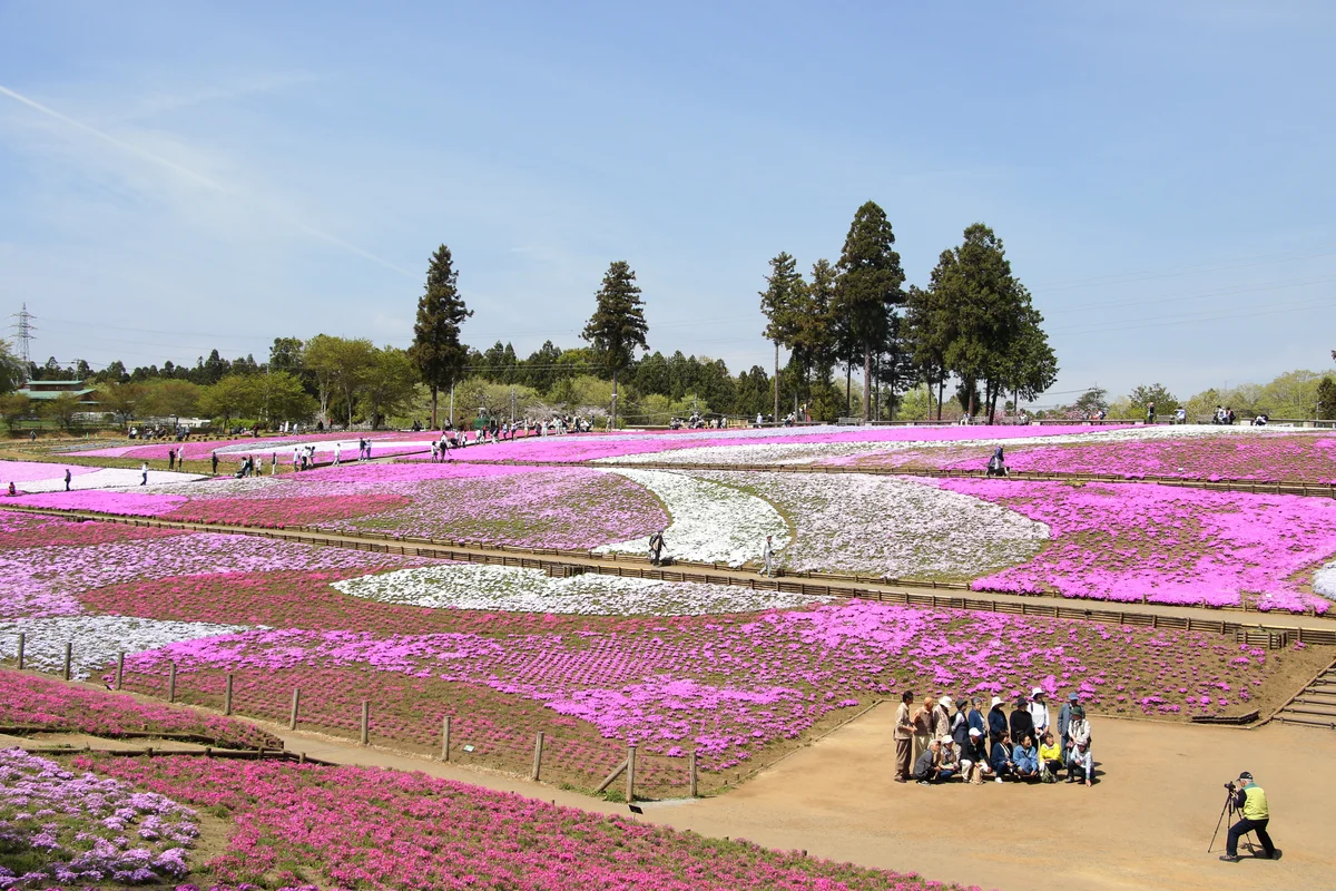 投稿写真：記念撮影