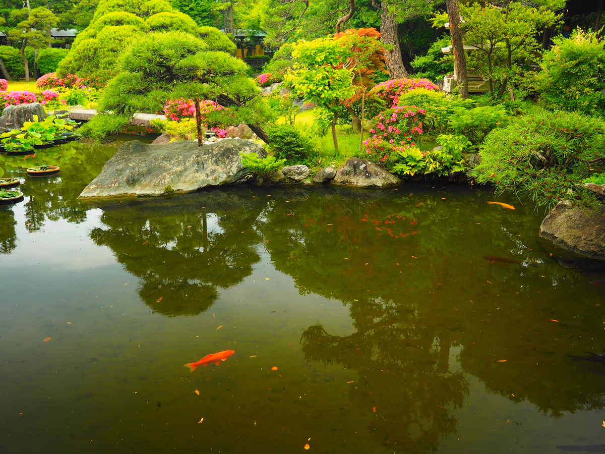 投稿写真：題経寺庭園