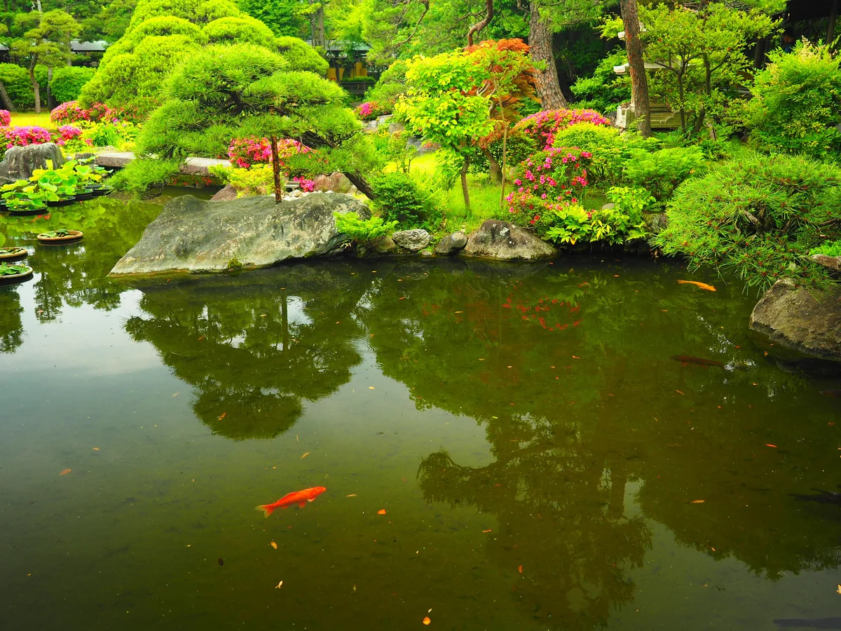 投稿写真：題経寺庭園