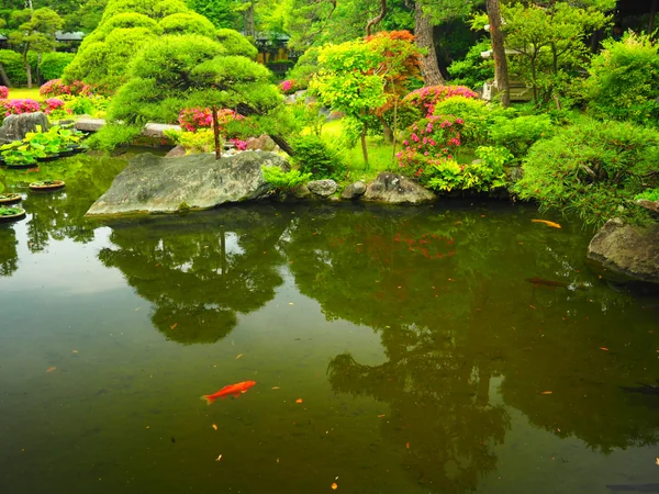 投稿：題経寺庭園