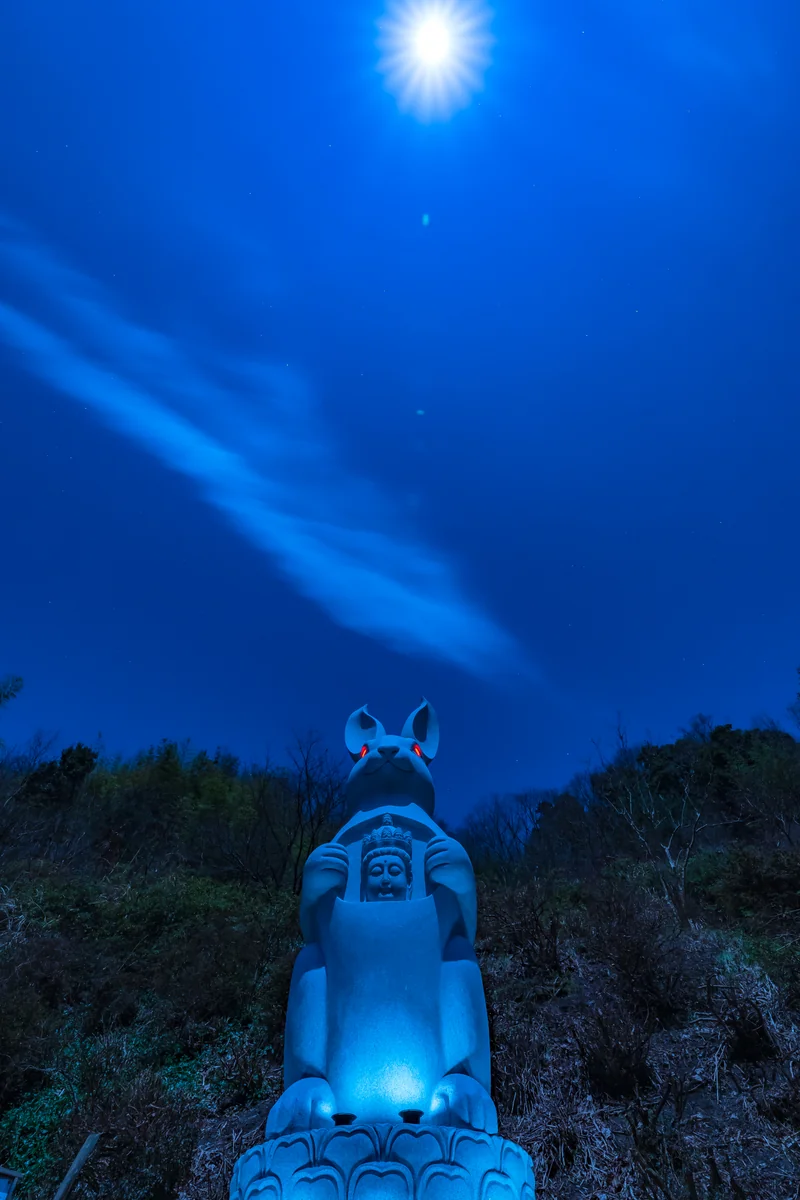 投稿写真：長谷寺ウサギ観音と月光