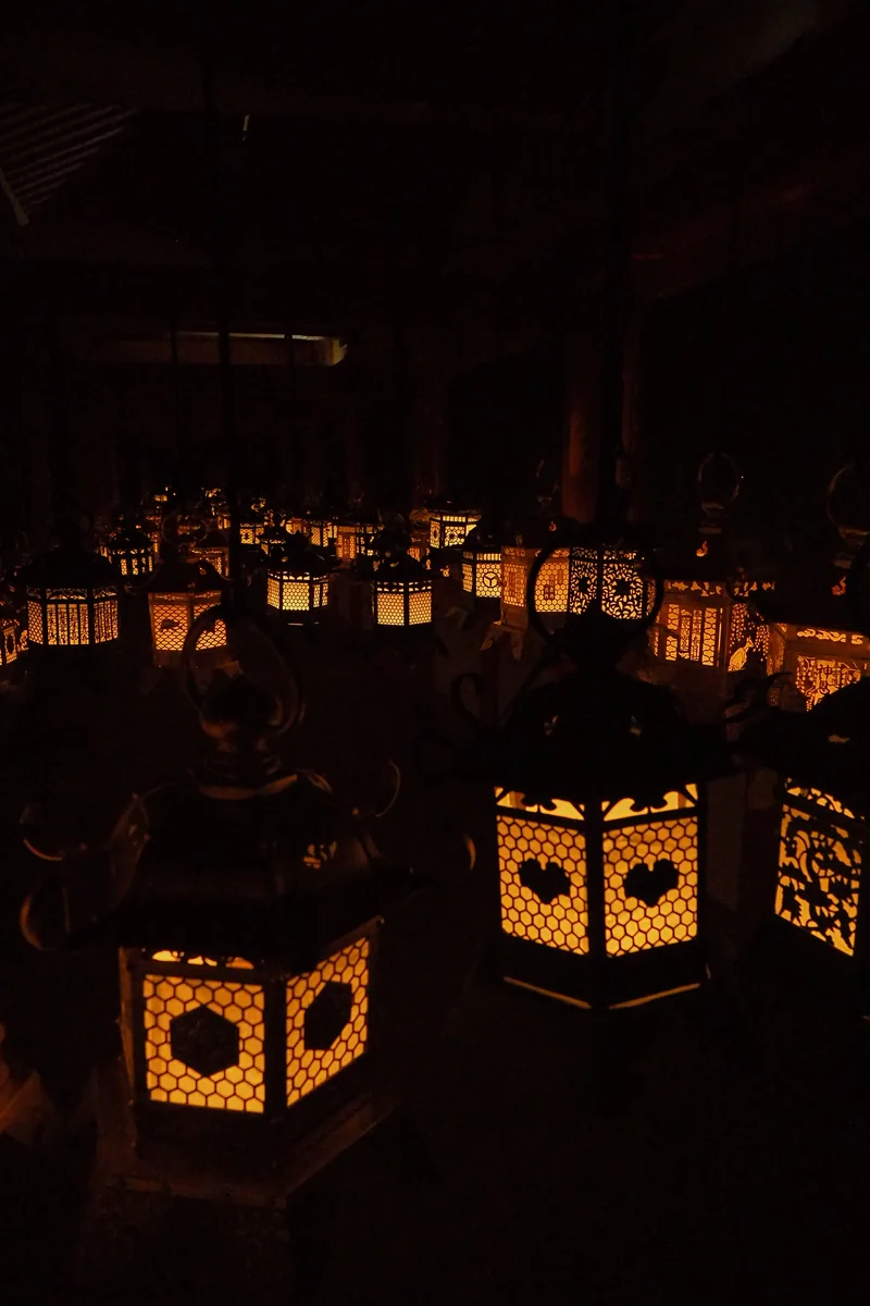 投稿写真：春日大社　万燈の光