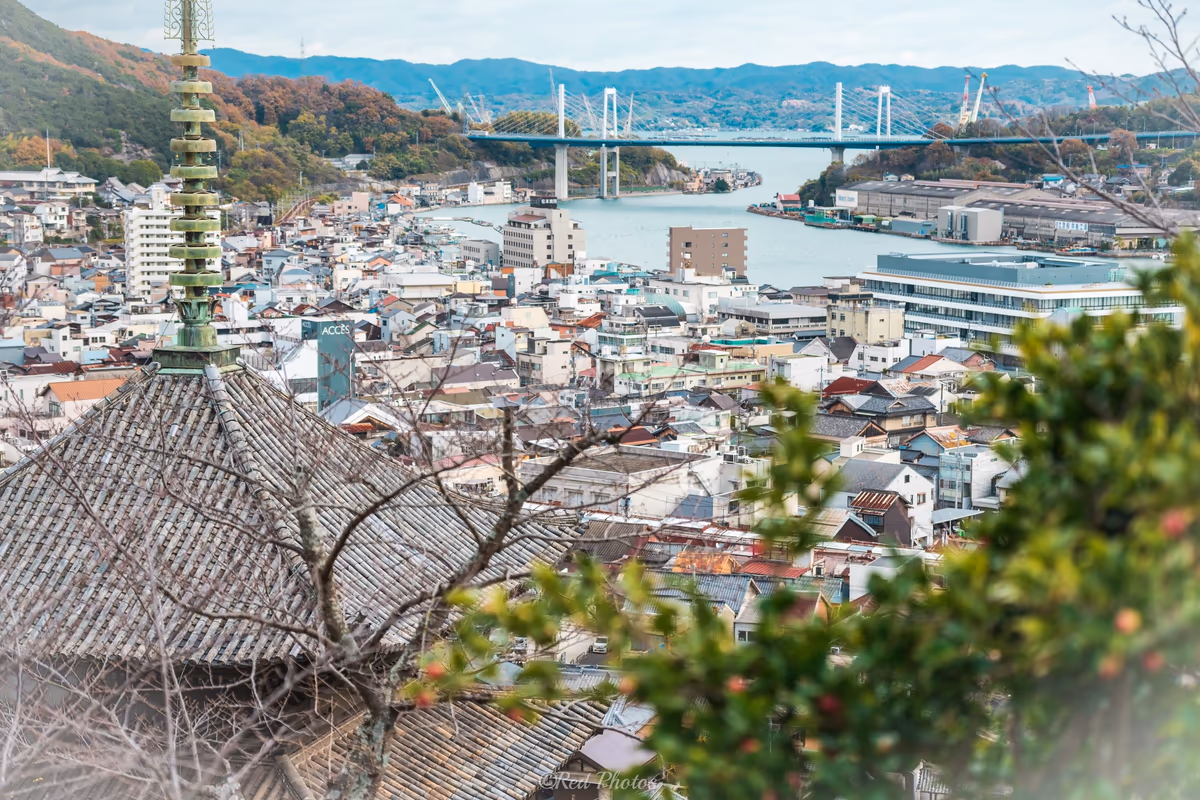 投稿写真：天寧寺三重塔