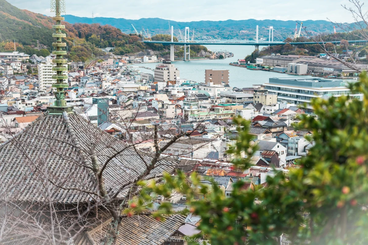 投稿写真：天寧寺三重塔