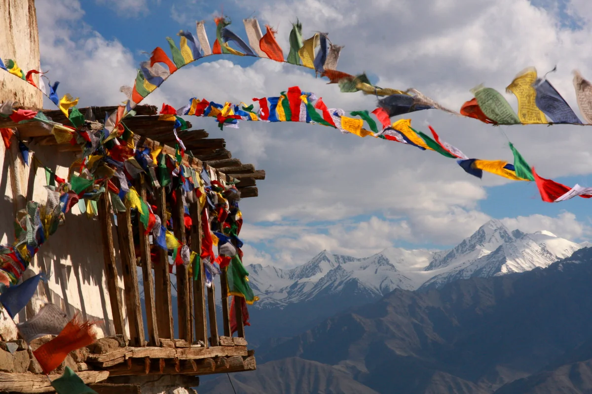 Kenta Sugawaraさんの投稿写真