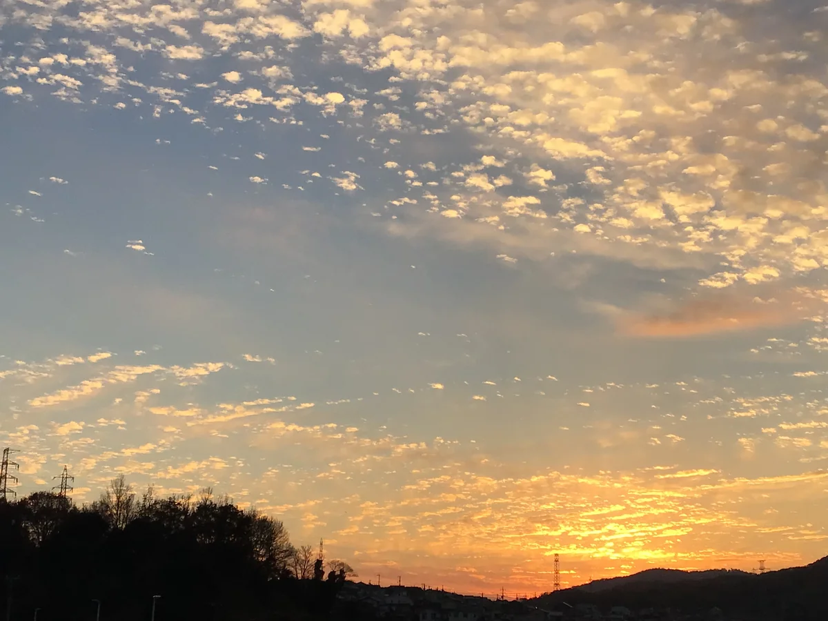 投稿写真：夕暮れ