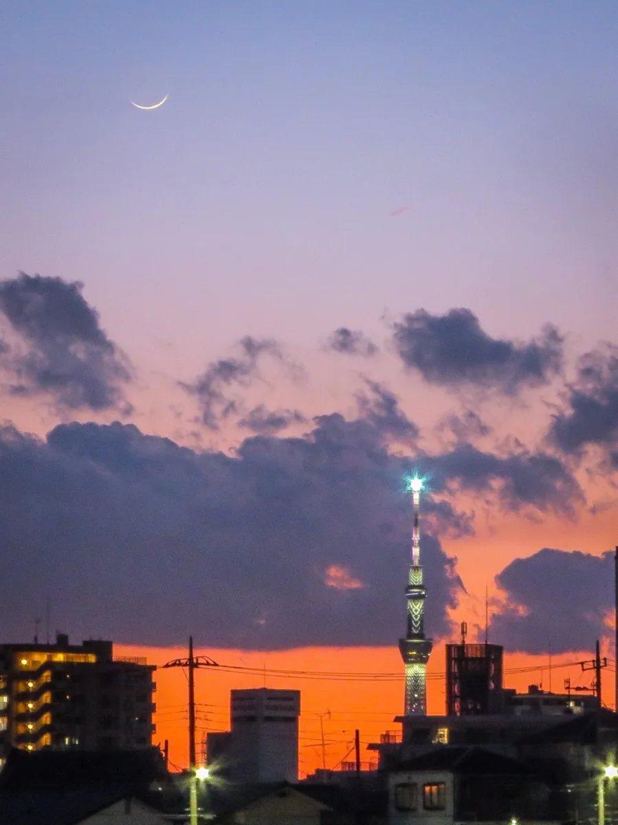 投稿写真：スカイツリー夕景