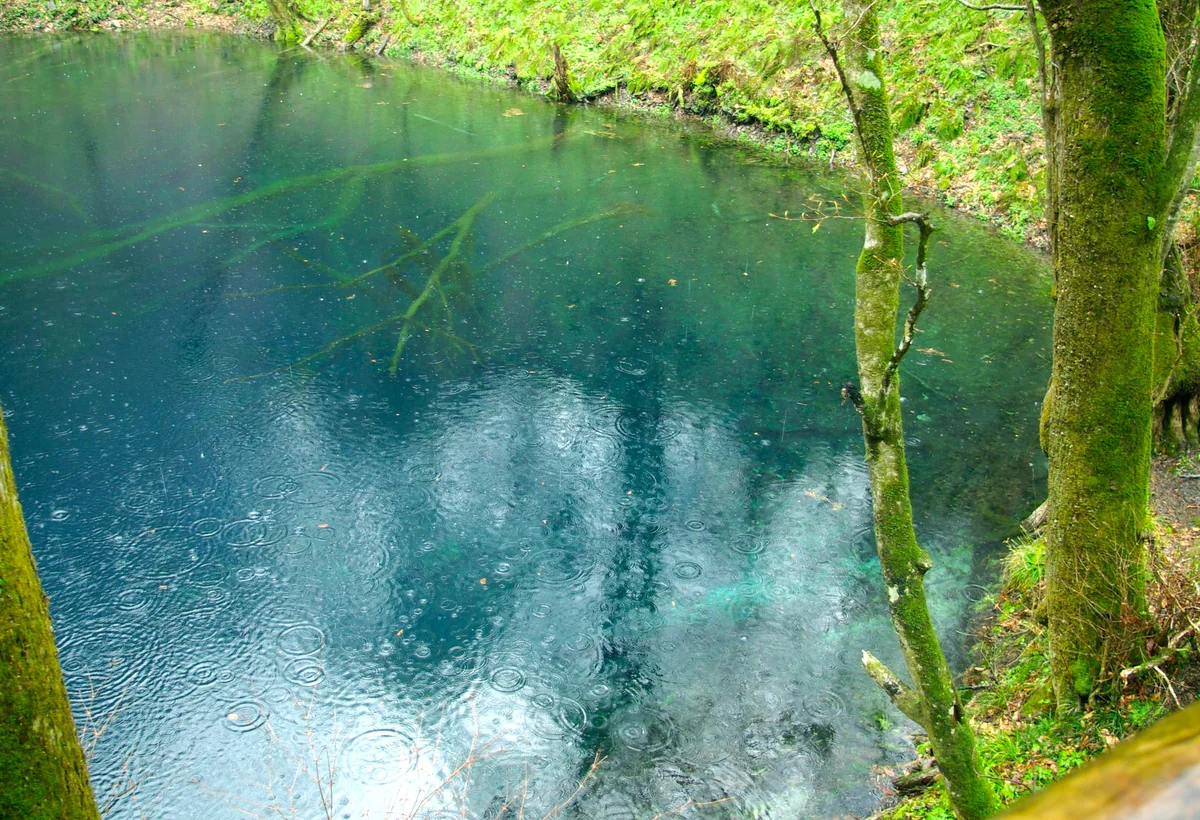 投稿写真：青池