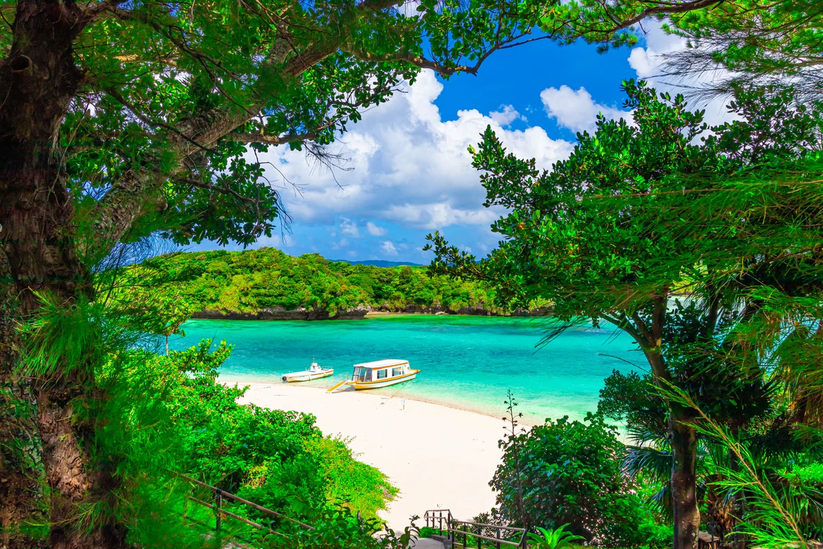 投稿写真：森の中から川平湾