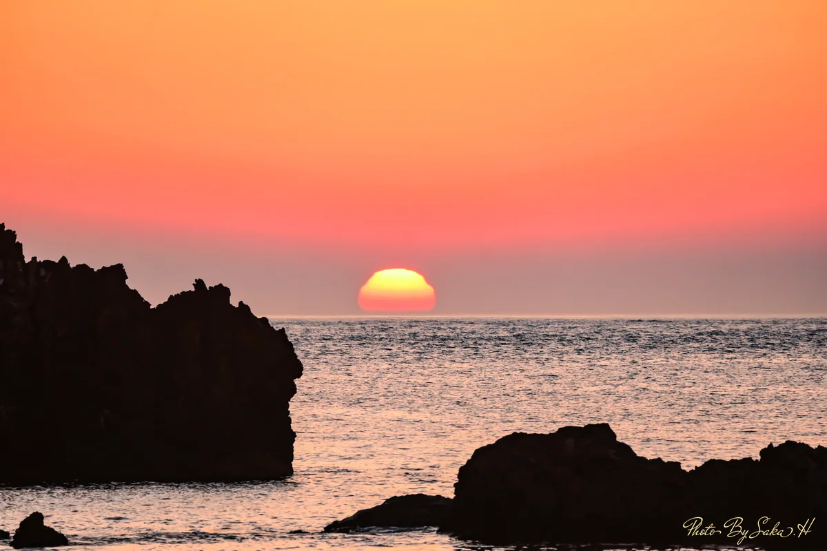 投稿写真：雪見大福