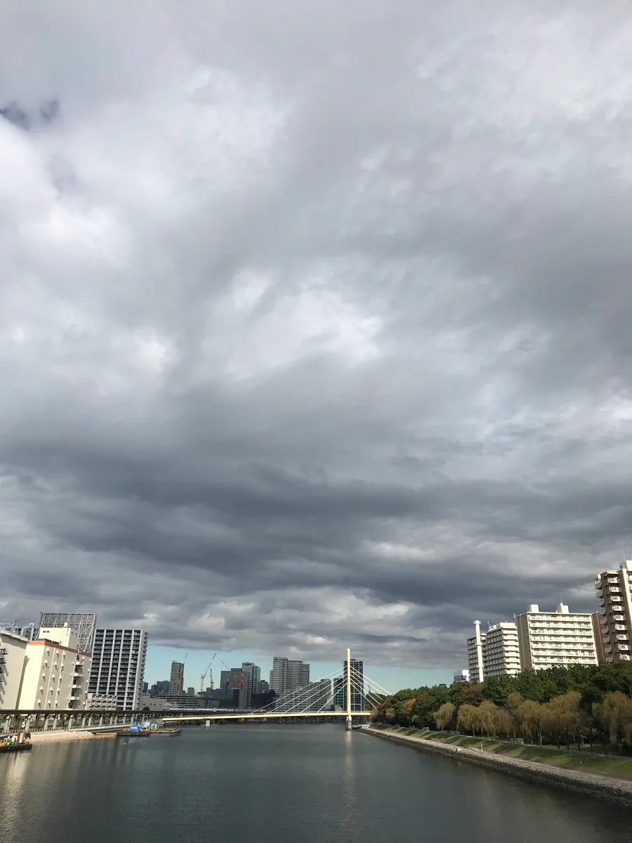 投稿写真：明日への光を求めて