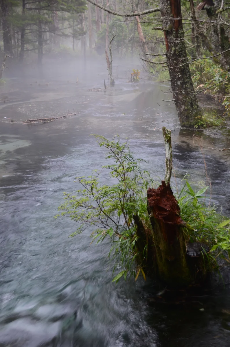 投稿写真：流れ