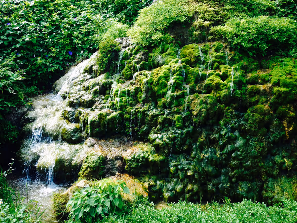 投稿：垣花樋川