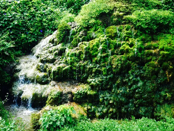 投稿：垣花樋川